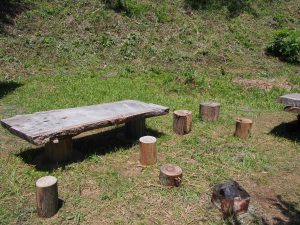 Wooden Table