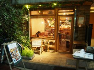 Chikyu wo Tabisuru CAFE