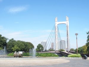 Bridge in Kiba Park