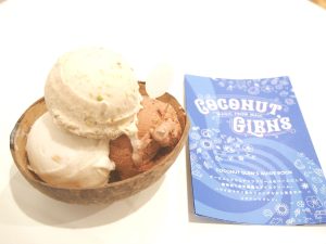 Ice Cream of COCONUT GLEN’S