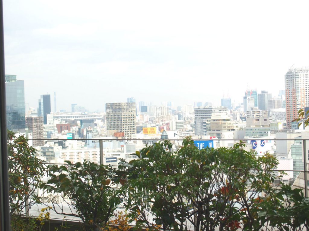 Scenery of Shibuya from 14th Floor