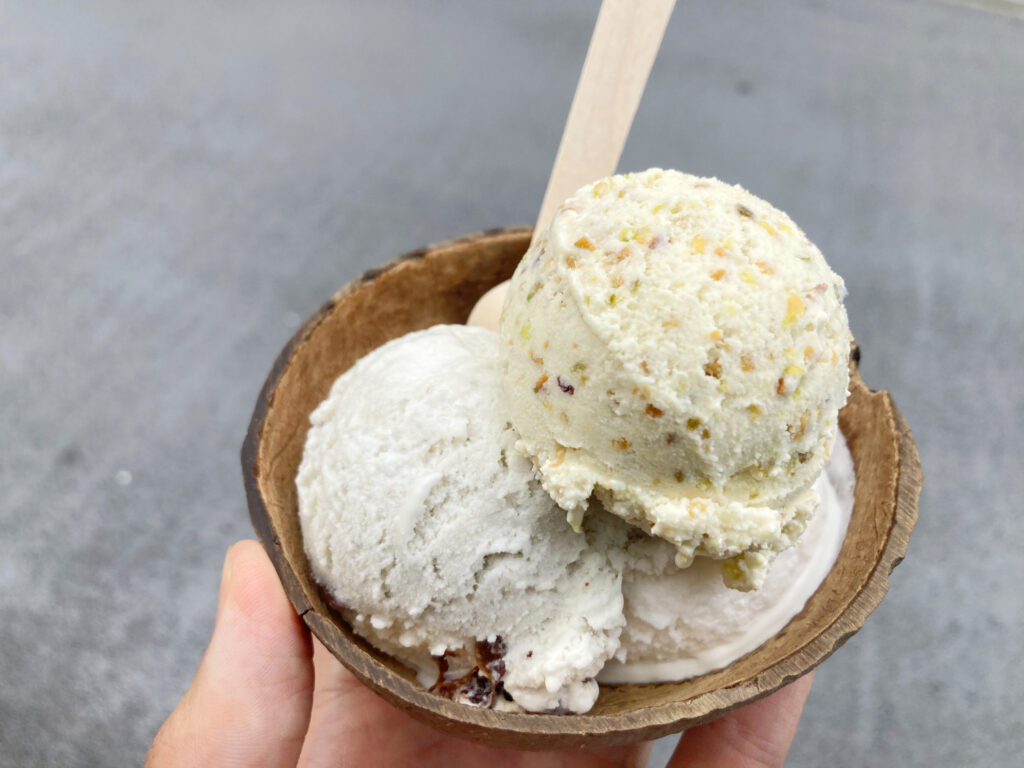 Vegan Ice Creams of Coconut Glen's Ikebukuro